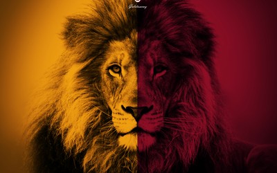 OK体育快讯-匈牙利点球绝杀对手